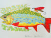 Brook Trout