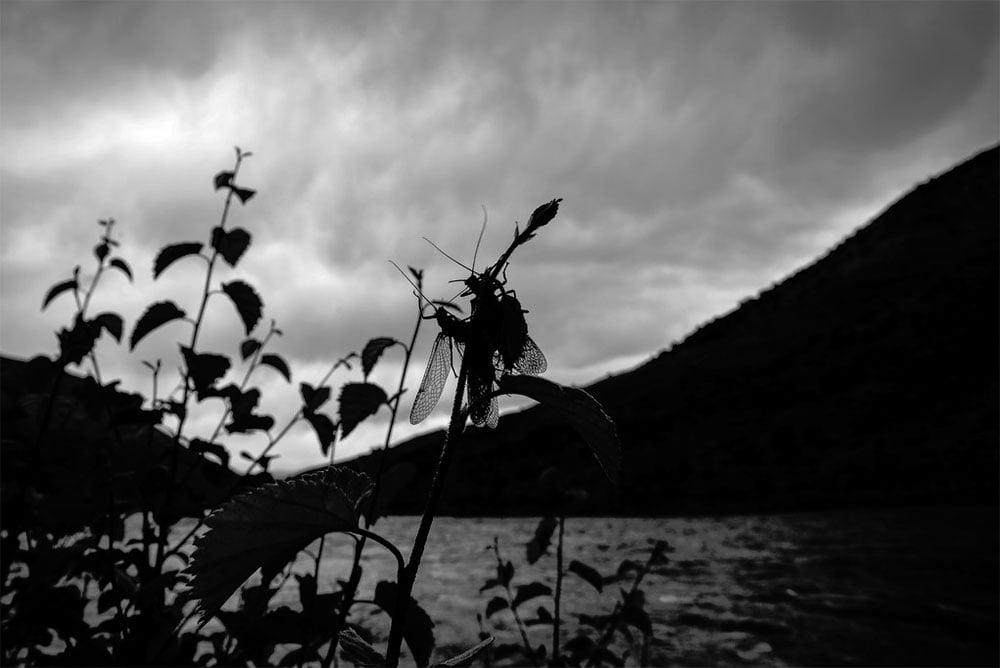 Greg Houska