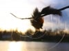 Kevin Breen Photography