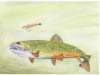 brookie-and-mickey-finn