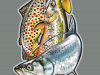 midcurrentandrealarkobrownbrooktarpon