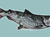 midcurrentandrealarkocoho