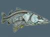 midcurrentandrealarkosnook