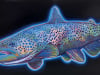 blueglowtrout_web