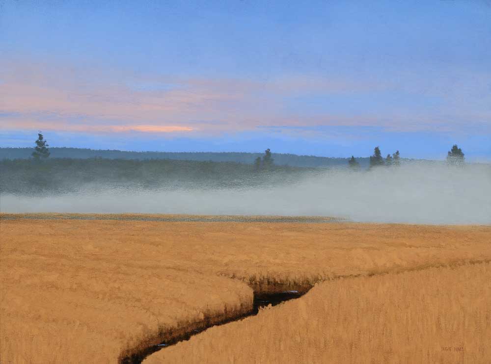 Dave Hall