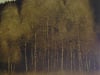 Centennial Valley Aspens