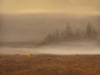Dawn on the Henry\'s Fork