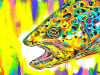 browntrout