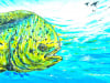 mahioncanvas