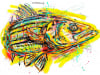 striperneononcanvas