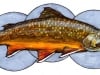 Jake Keeler