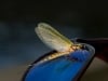John Bennett Photography