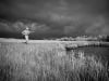 Liam Doran