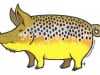 Nate Karnes