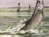crossman_tarpon_large