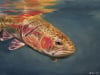 Reference image captured on camera by Erik Moncada