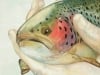 ottewell_smallfry_245