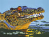 Cuban Crocodile