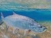 Tarpon on the Edge