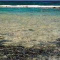 Rubble Flats and Sand Flats of the Tropics
