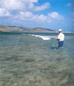 adams_flats_3 Flats Fishing