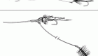 Fishing Tandem Flies: Other Combinations