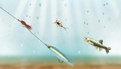 Useful Tandem Fly Combinations