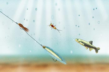tipton_double_3 Tandem or Dropper Rigs