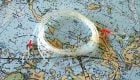 A Case for the Furled Leader