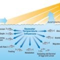 The Thermal Optimum