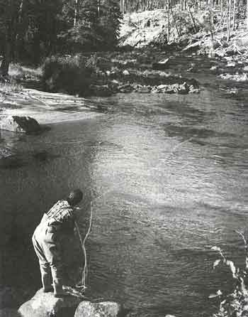 caddis_1 Gary LaFontaine on Caddis Hatches