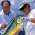 Saltwater Utility Flies: "Anywhere, Anytime"