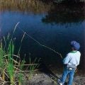 Saltwater Flies: "Basic Black"