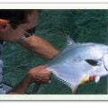The Permit Puzzle