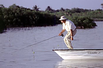 fernandez_retrieve1_350 Fly Fishing for Bonefish