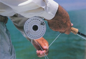 fernandez_retrieve_2_350 Fly Fishing for Bonefish