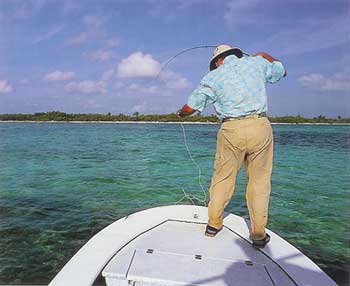 fernandez_retrieve_3_350 Fly Fishing for Bonefish