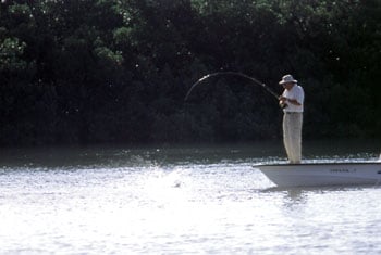 fernandez_retrieve_6_350 Fly Fishing for Bonefish