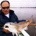Saltwater: "Tippet In Your Favor"