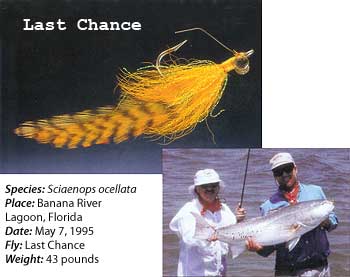 Last Chance Fly