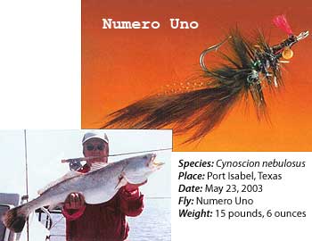 Numero Uno Fly