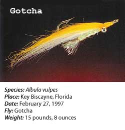 Gotcha Fly