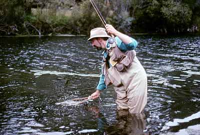 oswald_midges_2_400 Midge Fishing