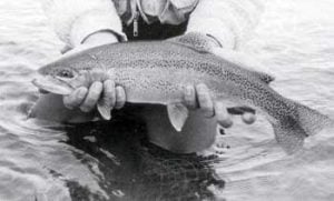 Reading Trout Water
