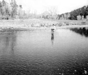 Reading Trout Water