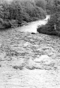 Reading Trout Water