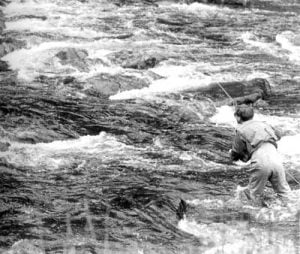 Reading Trout Water