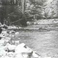Rich and Poor Trout Streams