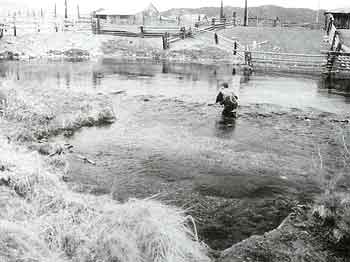rosenbauer_rich_2 Prospecting for Trout