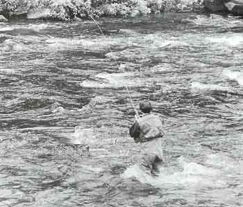 rosenbauer_rich_3 Prospecting for Trout